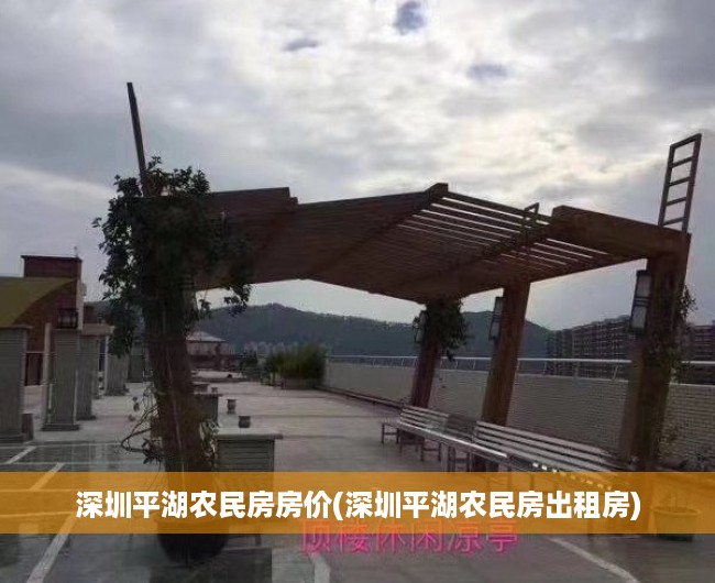 深圳平湖农民房房价(深圳平湖农民房出租房)