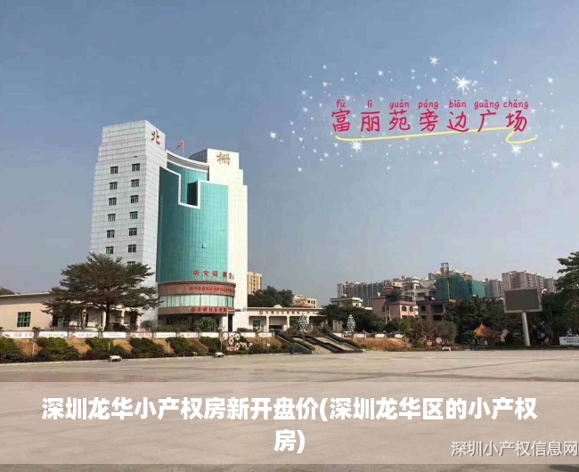 深圳龙华小产权房新开盘价(深圳龙华区的小产权房)
