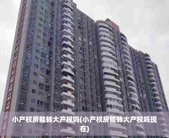 小产权房能转大产权吗(小产权房能转大产权吗现在)
