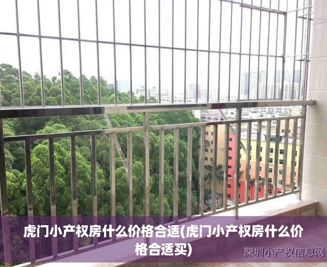 虎门小产权房什么价格合适(虎门小产权房什么价格合适买)