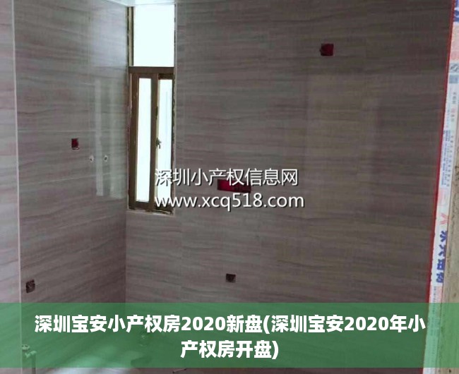 深圳宝安小产权房2020新盘(深圳宝安2020年小产权房开盘)