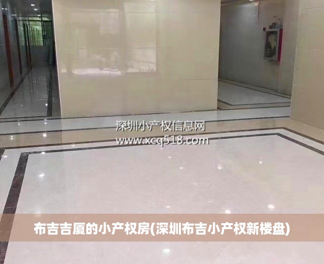 布吉吉厦的小产权房(深圳布吉小产权新楼盘)