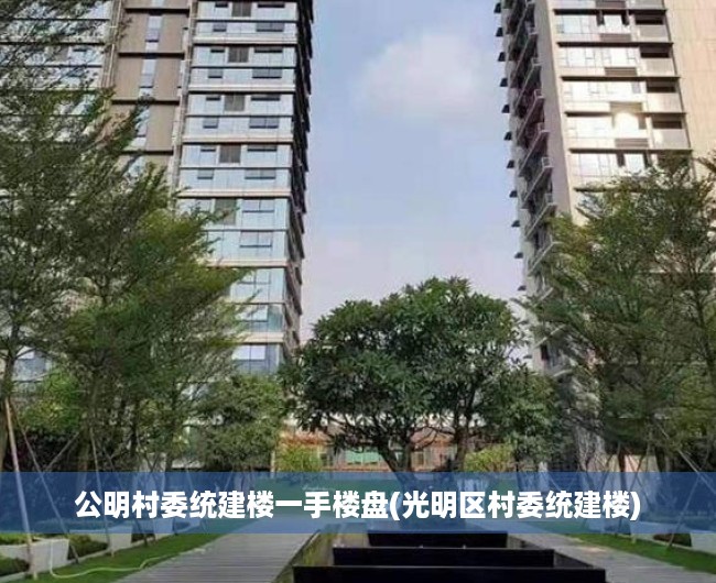 公明村委统建楼一手楼盘(光明区村委统建楼) 公明村委统建楼一手楼盘(光明区村委统建楼)