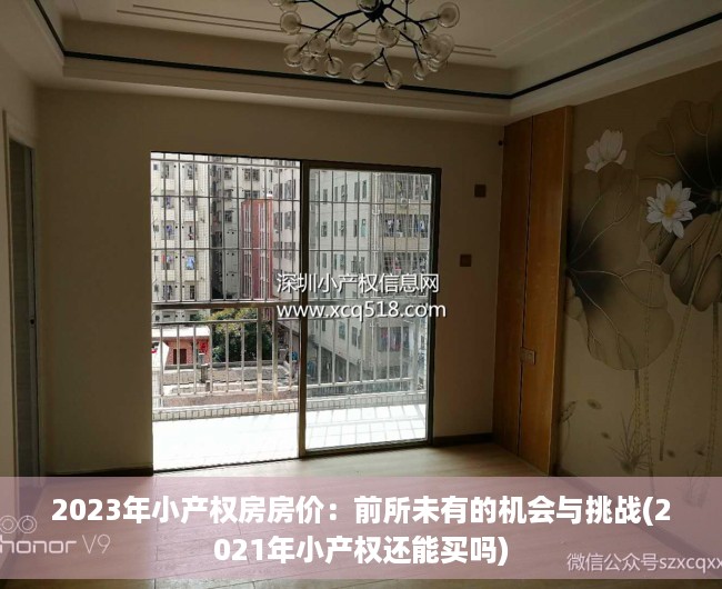 2023年小产权房房价：前所未有的机会与挑战(2021年小产权还能买吗)
