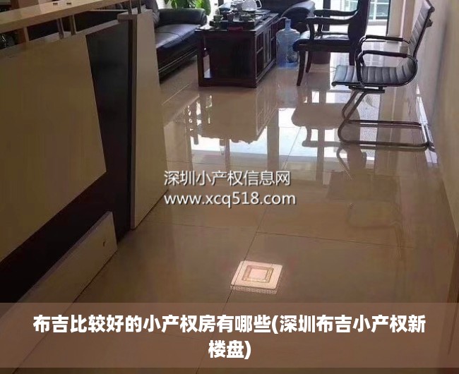 布吉比较好的小产权房有哪些(深圳布吉小产权新楼盘)