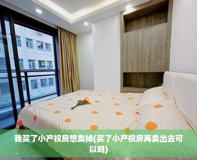 我买了小产权房想卖掉(买了小产权房再卖出去可以吗) 我买了小产权房想卖掉(买了小产权房再卖出去可以吗)