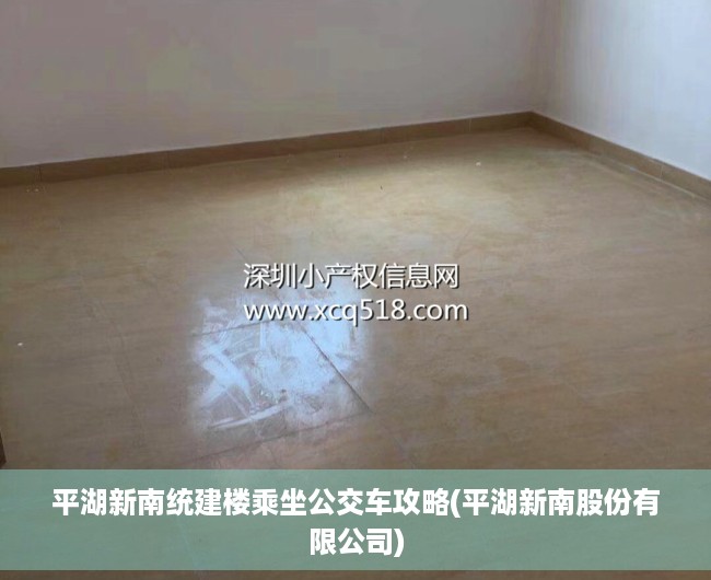 平湖新南统建楼乘坐公交车攻略(平湖新南股份有限公司)
