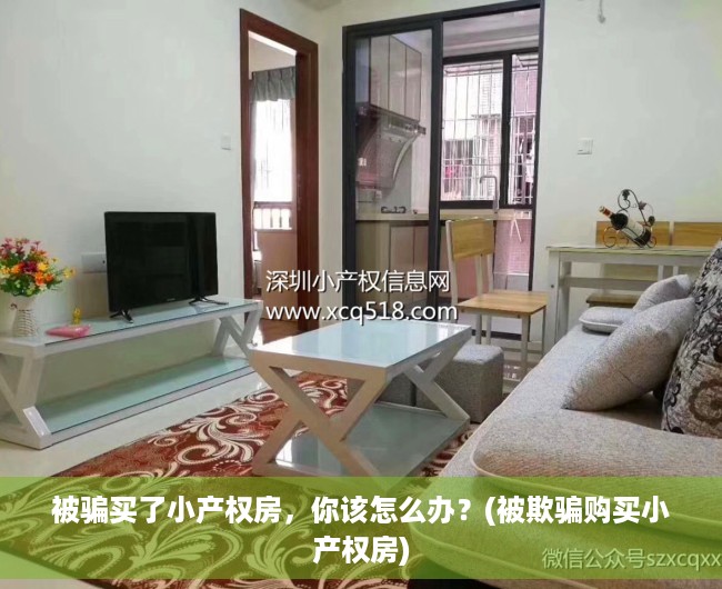 被骗买了小产权房，你该怎么办？(被欺骗购买小产权房)