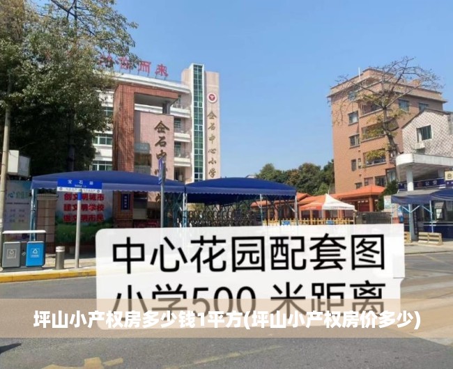 坪山小产权房多少钱1平方(坪山小产权房价多少) 坪山小产权房多少钱1平方(坪山小产权房价多少)