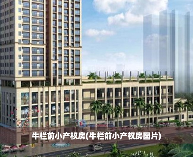 牛栏前小产权房(牛栏前小产权房图片) 牛栏前小产权房(牛栏前小产权房图片)