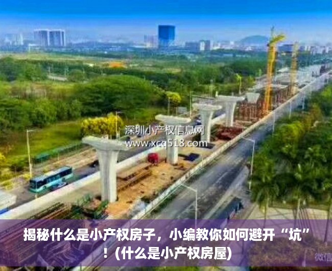 揭秘什么是小产权房子，小编教你如何避开“坑”！(什么是小产权房屋)