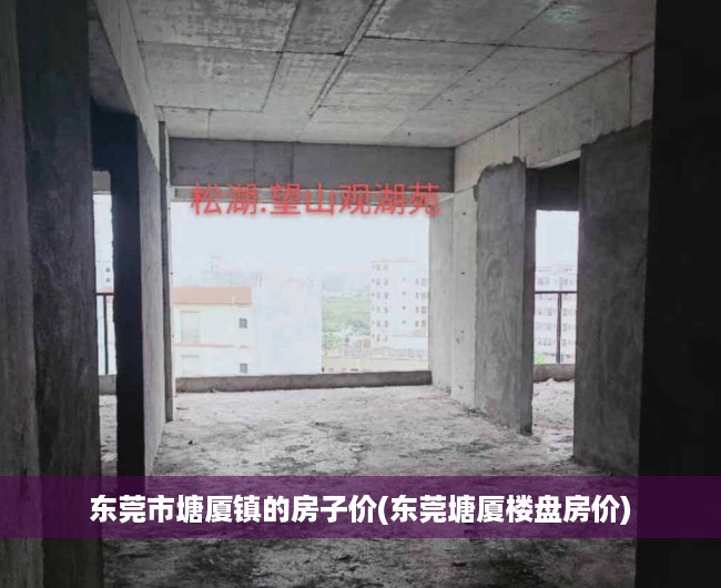 东莞市塘厦镇的房子价(东莞塘厦楼盘房价) 东莞市塘厦镇的房子价(东莞塘厦楼盘房价)