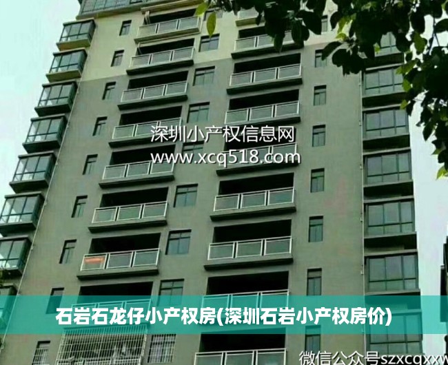 石岩石龙仔小产权房(深圳石岩小产权房价)