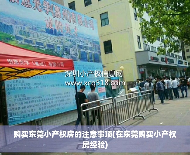 购买东莞小产权房的注意事项(在东莞购买小产权房经验)
