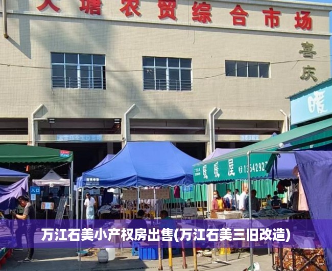 万江石美小产权房出售(万江石美三旧改造)