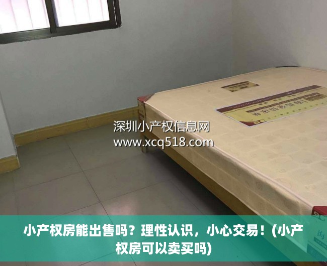 小产权房能出售吗？理性认识，小心交易！(小产权房可以卖买吗)