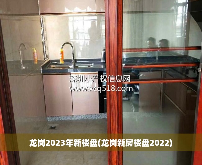 龙岗2023年新楼盘(龙岗新房楼盘2022)