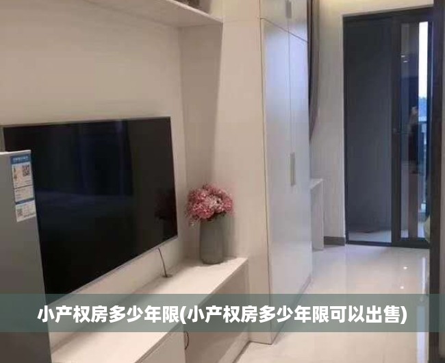 小产权房多少年限(小产权房多少年限可以出售) 小产权房多少年限(小产权房多少年限可以出售)