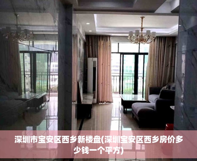 深圳市宝安区西乡新楼盘(深圳宝安区西乡房价多少钱一个平方)