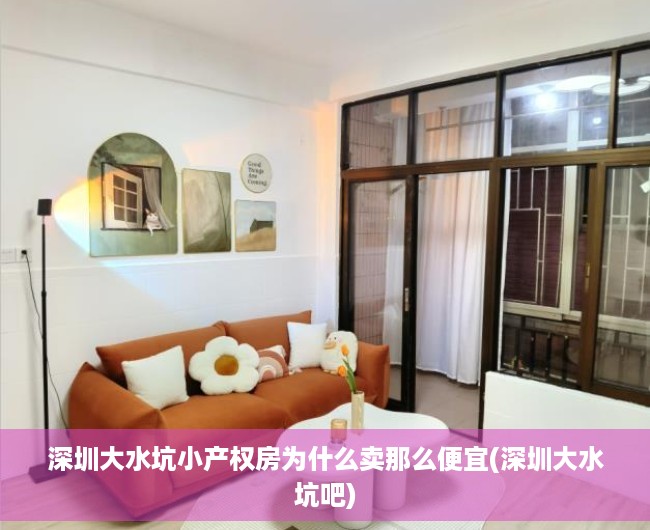 深圳大水坑小产权房为什么卖那么便宜(深圳大水坑吧)