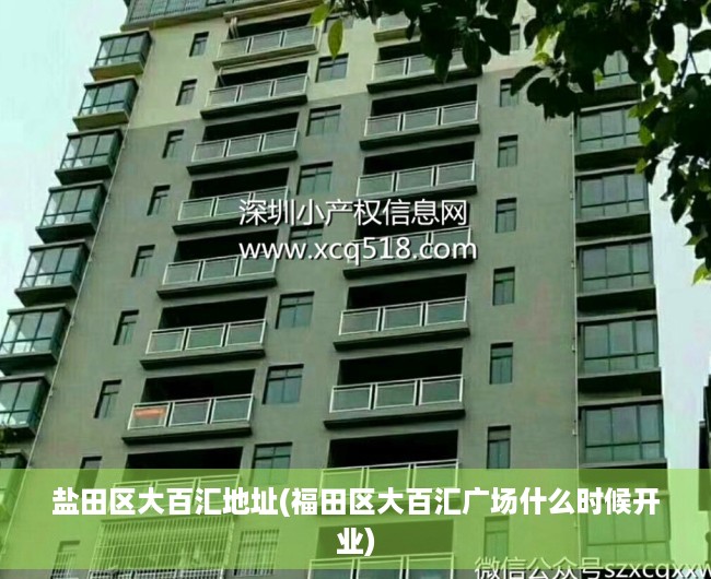 盐田区大百汇地址(福田区大百汇广场什么时候开业) 盐田区大百汇地址(福田区大百汇广场什么时候开业)