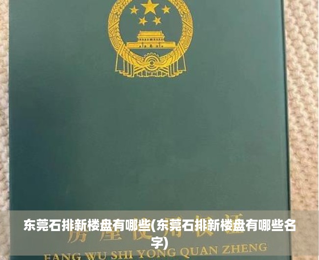 东莞石排新楼盘有哪些(东莞石排新楼盘有哪些名字) 东莞石排新楼盘有哪些(东莞石排新楼盘有哪些名字)