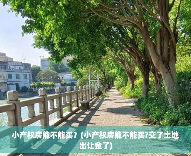 小产权房能不能买?(小产权房能不能买?交了土地出让金了) 小产权房能不能买?(小产权房能不能买?交了土地出让金了)