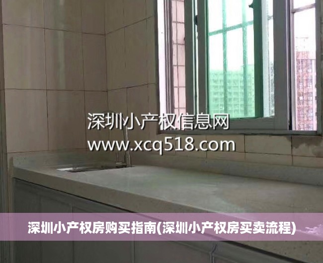 深圳小产权房购买指南(深圳小产权房买卖流程)