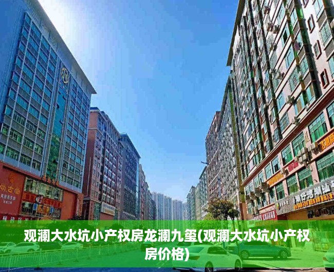 观澜大水坑小产权房龙澜九玺(观澜大水坑小产权房价格)