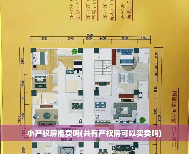 小产权房能卖吗(共有产权房可以买卖吗) 小产权房能卖吗(共有产权房可以买卖吗)