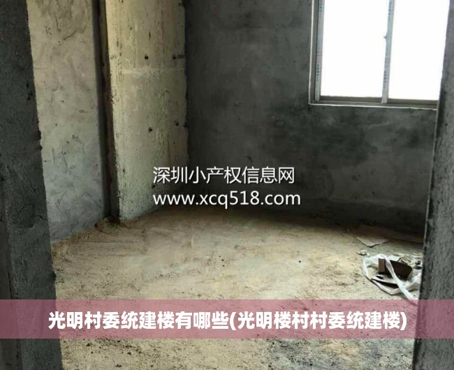 光明村委统建楼有哪些(光明楼村村委统建楼) 光明村委统建楼有哪些(光明楼村村委统建楼)
