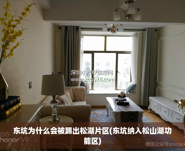 东坑为什么会被踢出松湖片区(东坑纳入松山湖功能区)