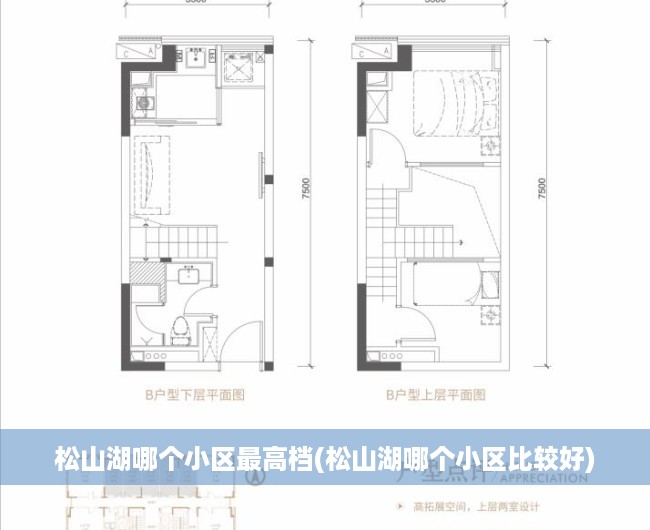 松山湖哪个小区最高档(松山湖哪个小区比较好) 松山湖哪个小区最高档(松山湖哪个小区比较好)