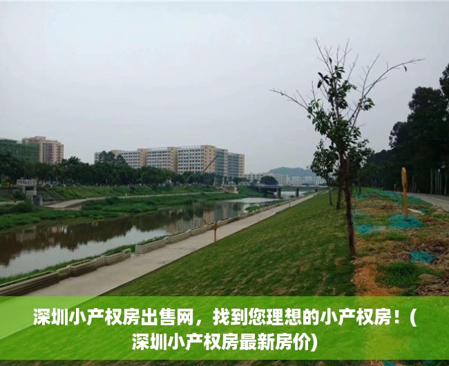 深圳小产权房出售网，找到您理想的小产权房！(深圳小产权房最新房价)