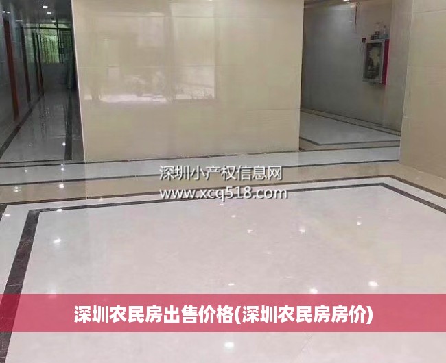 深圳农民房出售价格(深圳农民房房价)