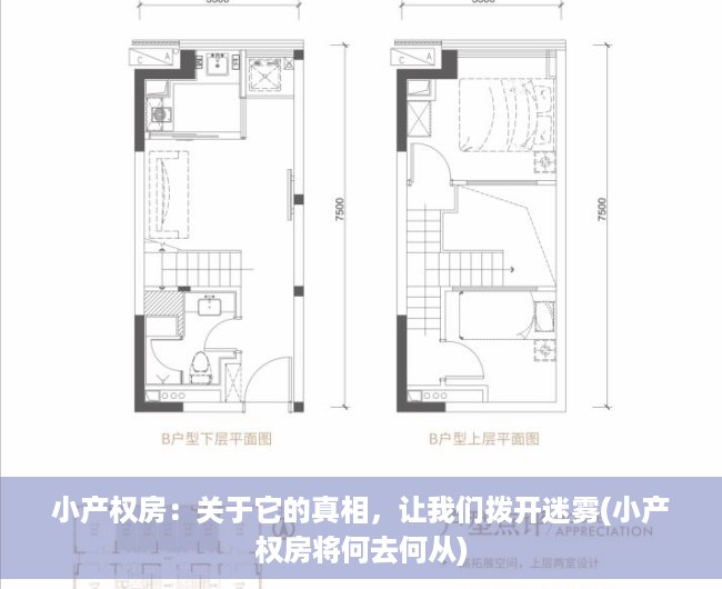 小产权房：关于它的真相，让我们拨开迷雾(小产权房将何去何从)
