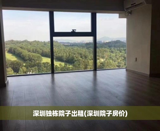 深圳独栋院子出租(深圳院子房价)