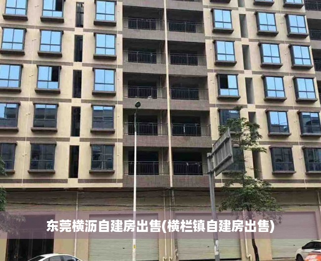 东莞横沥自建房出售(横栏镇自建房出售) 东莞横沥自建房出售(横栏镇自建房出售)