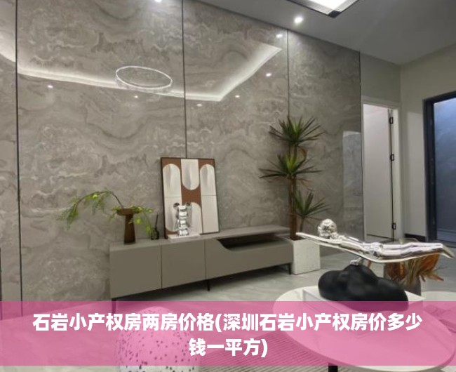 石岩小产权房两房价格(深圳石岩小产权房价多少钱一平方)