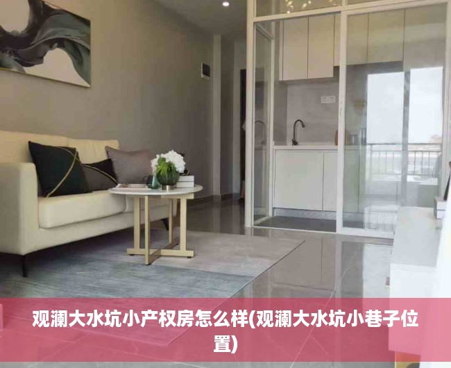 观澜大水坑小产权房怎么样(观澜大水坑小巷子位置)