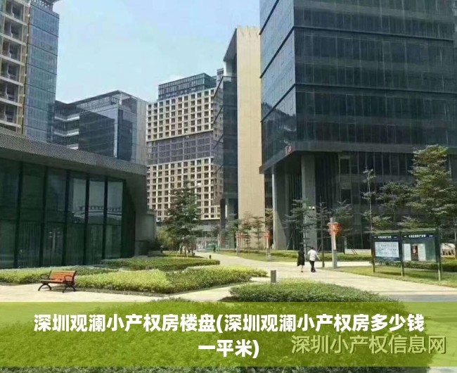 深圳观澜小产权房楼盘(深圳观澜小产权房多少钱一平米)
