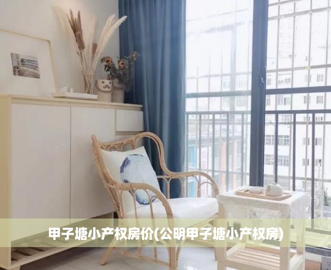 甲子塘小产权房价(公明甲子塘小产权房)