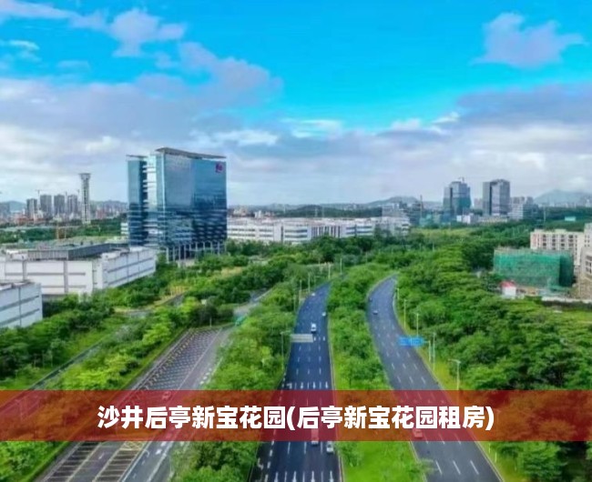 沙井后亭新宝花园(后亭新宝花园租房)