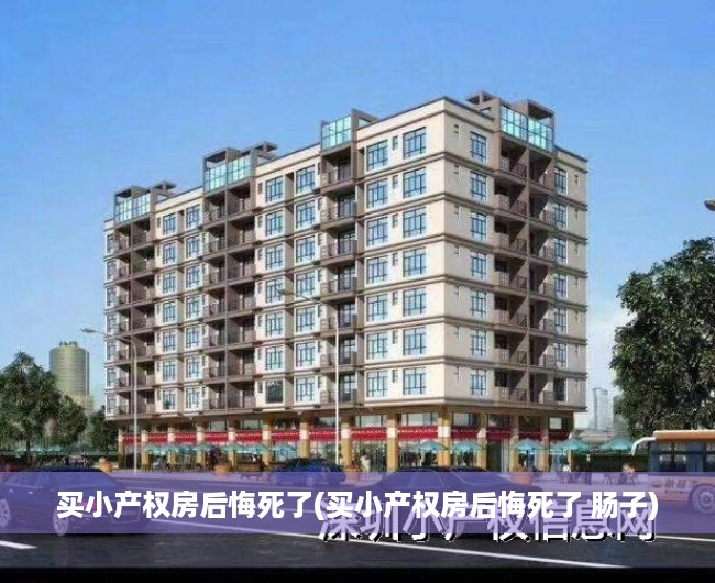 买小产权房后悔死了(买小产权房后悔死了 肠子) 买小产权房后悔死了(买小产权房后悔死了 肠子)