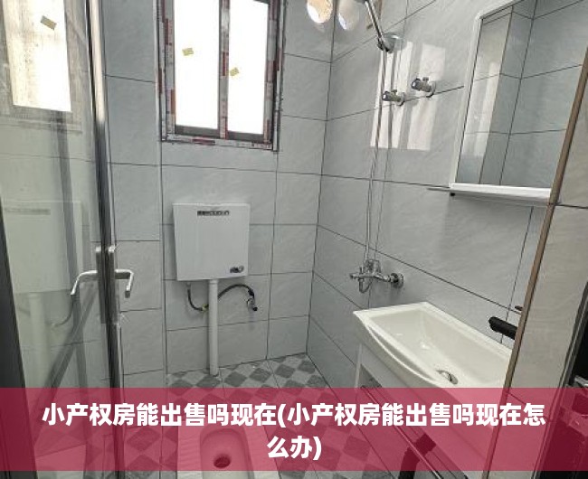 小产权房能出售吗现在(小产权房能出售吗现在怎么办) 小产权房能出售吗现在(小产权房能出售吗现在怎么办)