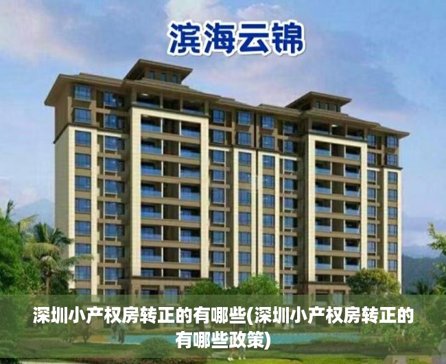深圳小产权房转正的有哪些(深圳小产权房转正的有哪些政策)