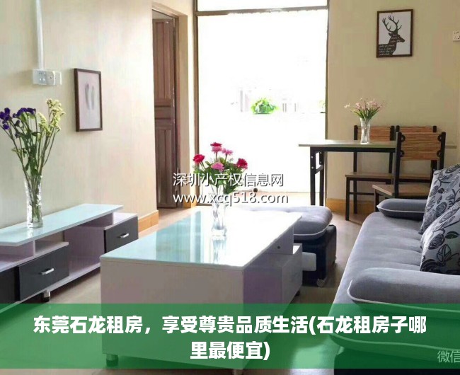 东莞石龙租房，享受尊贵品质生活(石龙租房子哪里最便宜)