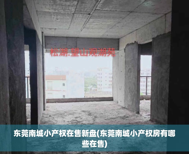 东莞南城小产权在售新盘(东莞南城小产权房有哪些在售) 东莞南城小产权在售新盘(东莞南城小产权房有哪些在售)