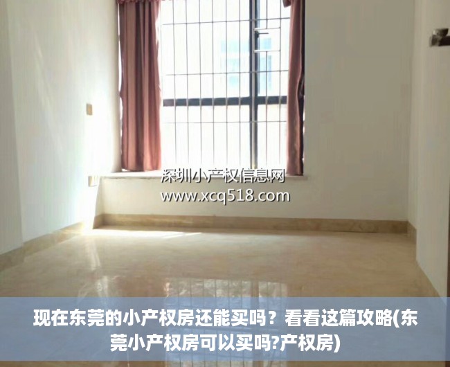 现在东莞的小产权房还能买吗？看看这篇攻略(东莞小产权房可以买吗?产权房)