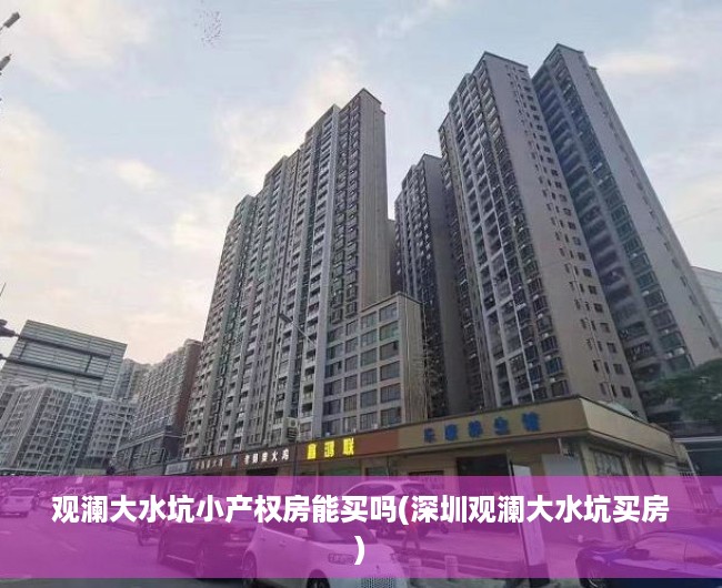 观澜大水坑小产权房能买吗(深圳观澜大水坑买房)